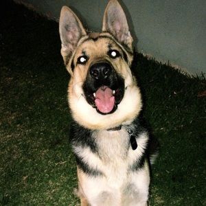 Meet your Posher, Jesus